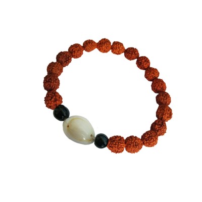 Cowrie Kawadi Charm Rudraksha Bracelet For Men